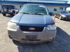 2005 Ford Escape XLT