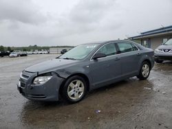 Salvage cars for sale at Memphis, TN auction: 2008 Chevrolet Malibu LS