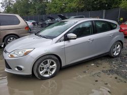 Ford Focus salvage cars for sale: 2014 Ford Focus SE