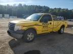 2010 Ford F150