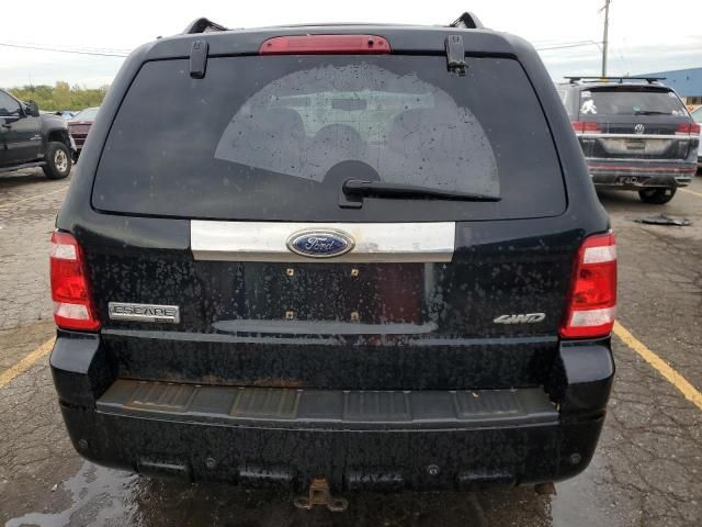 2009 Ford Escape Limited