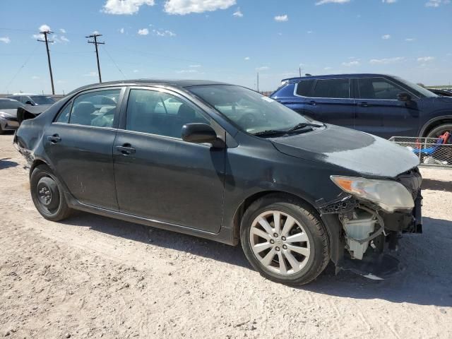 2009 Toyota Corolla Base