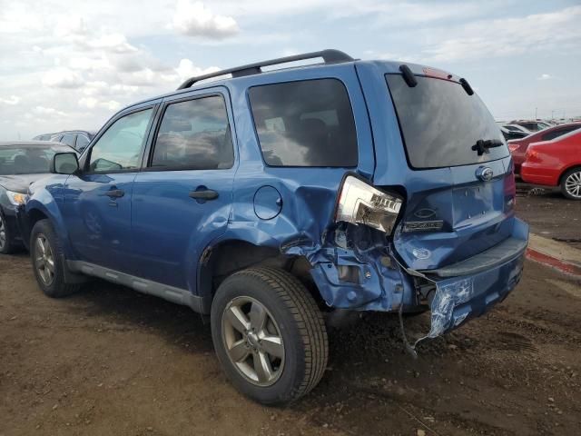 2009 Ford Escape XLT