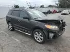 2007 Hyundai Santa FE SE