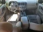 2005 Ford Escape XLT