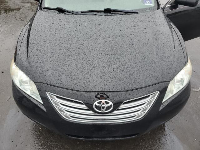 2009 Toyota Camry Hybrid