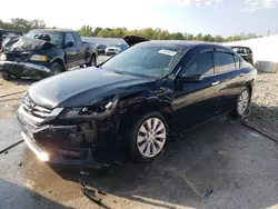 2015 Honda Accord EXL en venta en Louisville, KY