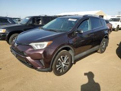 Salvage cars for sale at Brighton, CO auction: 2016 Toyota Rav4 LE