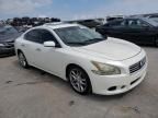 2014 Nissan Maxima S