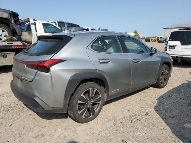 2020 Lexus UX 250H