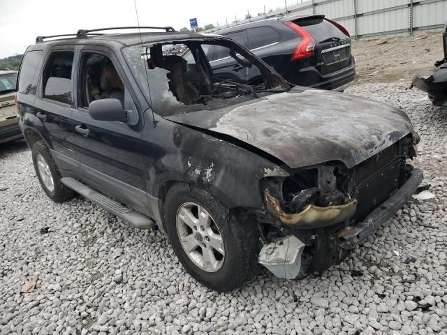 2007 Ford Escape XLT