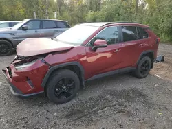 Toyota rav4 xle salvage cars for sale: 2020 Toyota Rav4 XLE