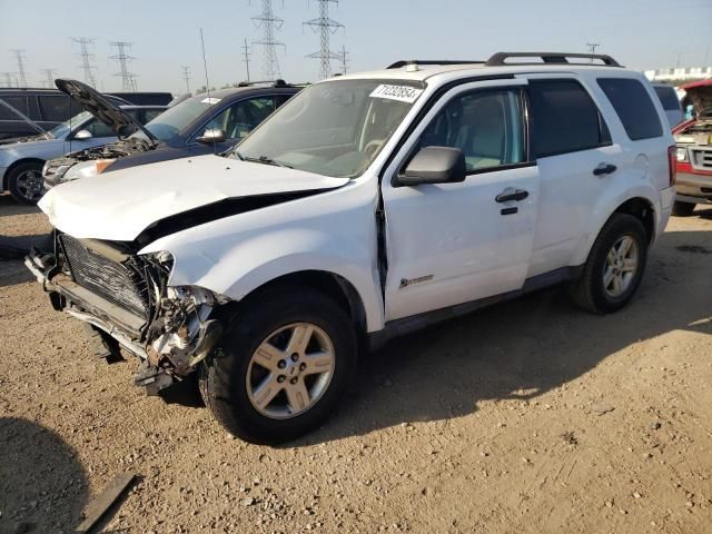 2010 Ford Escape Hybrid