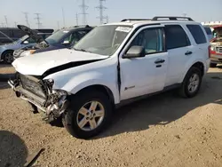 Salvage cars for sale from Copart Elgin, IL: 2010 Ford Escape Hybrid