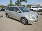 2005 Honda Odyssey EXL