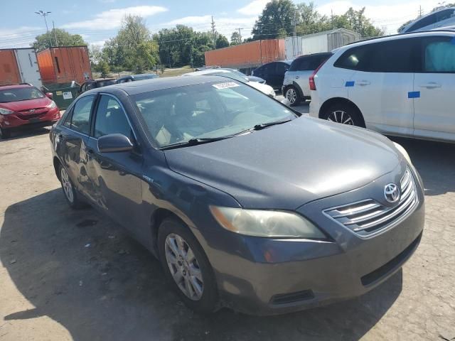 2009 Toyota Camry Hybrid