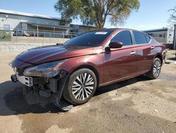 Salvage cars for sale at Albuquerque, NM auction: 2023 Nissan Altima SV