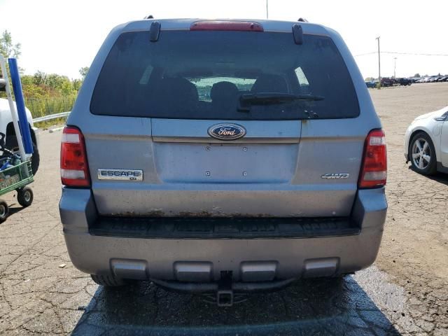 2008 Ford Escape XLT