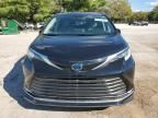 2023 Toyota Sienna Limited