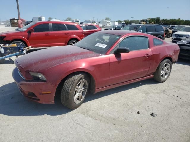 2014 Ford Mustang