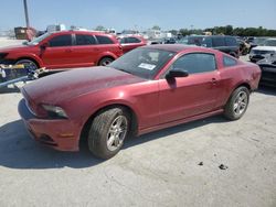 Muscle Cars for sale at auction: 2014 Ford Mustang