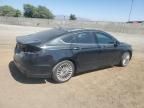 2014 Ford Fusion Titanium HEV