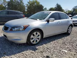 Salvage cars for sale at Madisonville, TN auction: 2010 Honda Accord EX