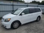 2010 Honda Odyssey EXL