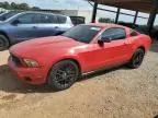 2010 Ford Mustang