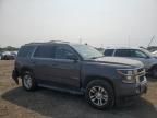 2015 Chevrolet Tahoe K1500 LS