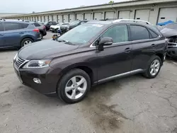 Salvage cars for sale at Louisville, KY auction: 2013 Lexus RX 350 Base