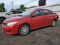 Toyota salvage cars for sale: 2009 Toyota Corolla Base