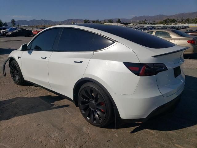 2023 Tesla Model Y