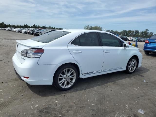 2010 Lexus HS 250H