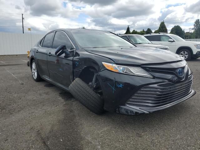 2019 Toyota Camry Hybrid