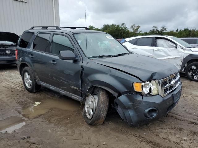 2008 Ford Escape XLT