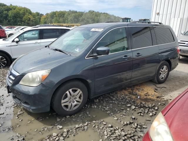 2005 Honda Odyssey EXL