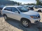 2011 KIA Sorento Base