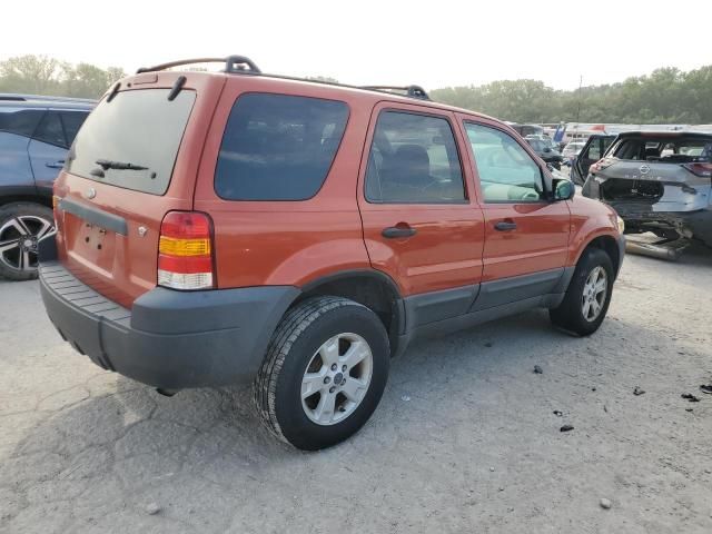 2006 Ford Escape XLT