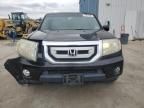 2009 Honda Pilot EXL