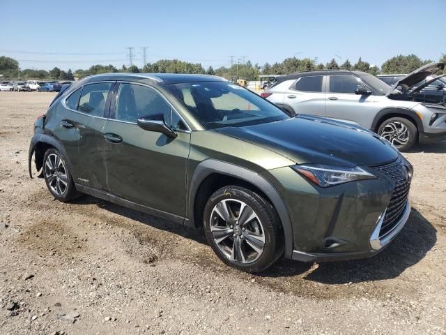 2020 Lexus UX 250H