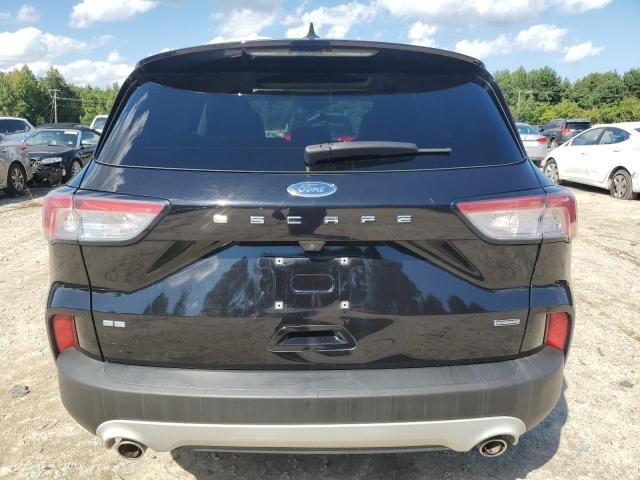 2020 Ford Escape SE Sport