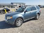 2010 Ford Escape Limited