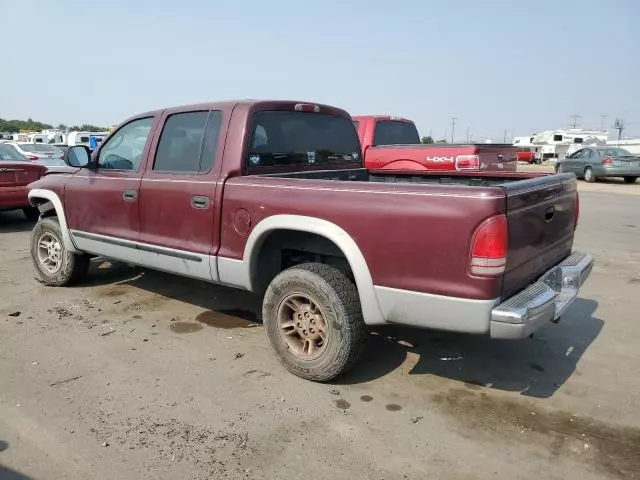 2000 Dodge Dakota Quattro