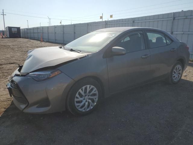 2019 Toyota Corolla L