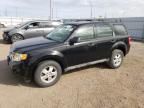 2010 Ford Escape XLS