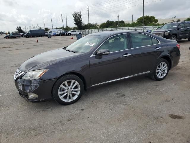 2010 Lexus ES 350