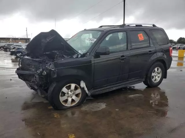 2011 Ford Escape Limited