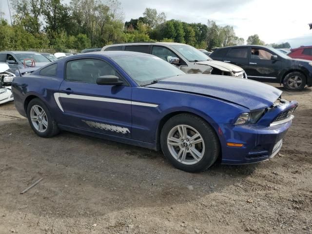 2013 Ford Mustang