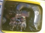 2002 Seadoo Bombardier